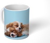 Mok - Twee Cavalier King Charles-spaniël slapen op elkaar - 350 ML - Beker