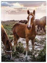 My favourite friends paard zakagenda 2022 - A6 formaat zakagenda - binnenzijde 7 dagen 2 pagina planner - (11x15cm) met paarden, zacht roze design