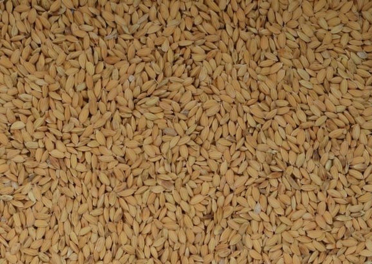 Wielink Paddy rijst 25 kg