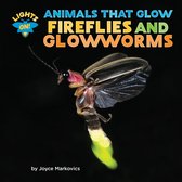 Lights On! Animals That Glow- Fireflies and Glowworms