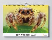 Spinnen kalender 2023 | 35x24 cm | jaarkalender 2023 | Wandkalender 2023