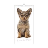 Hobbit Minikalender honden - 15X30 - maand - honden