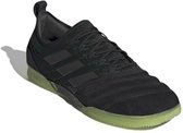 adidas Performance Copa 19.1 De schoenen van de voetbal Mannen zwart 46 2/3