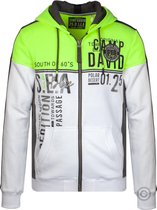 Camp David, sweatjack met capuchon en colourblocking