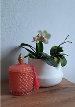 Luxury storage jar orange with gold/ luxe opberg pot zalm oranje met goud/ decoratie pot
