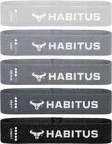 Habitus® 5 Stuks Fitness Elastiek Weerstandsbanden Set - Resistance Booty Bands - Sportbanden Thuis Trainen - Inclusief Draagtas