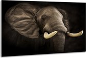 Schilderij -Imposante Olifant, dieren, 100x70cm, Premium print