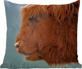 Coussins décoratifs - Oreillers Salon - 60x60 cm - Highlander écossais - Animaux - Brouillard