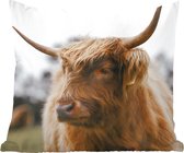 Coussins décoratifs - Oreillers Salon - 60x60 cm - Highlander écossais - Animaux - Cornes