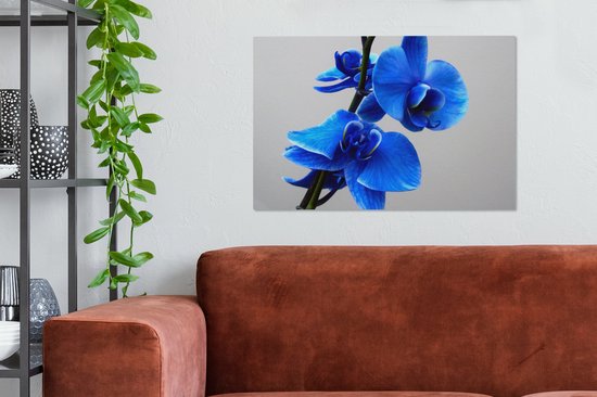 Tableau Peinture Orchidée Bleue - 90x60 cm - Décoration murale
