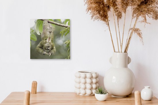 Peinture sur toile Un paresseux accroché dans les arbres à l'envers - 20x20 cm - Art Décoration murale