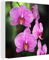 Canvas Schilderij Roze orchidee - 90x90 cm - Wanddecoratie