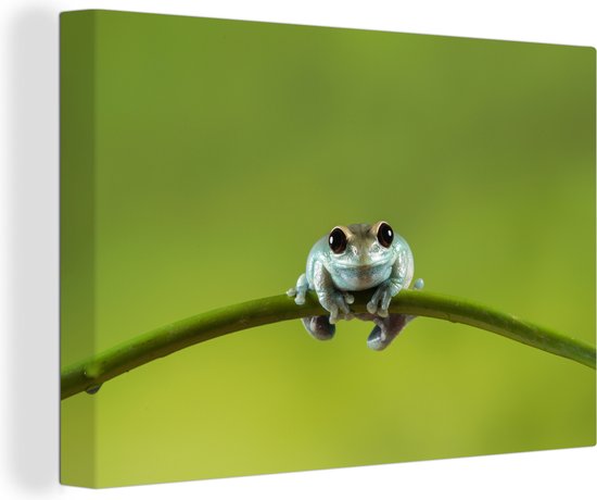 Tableau Grenouille - Branche - Vert - 60x40 cm - Décoration murale
