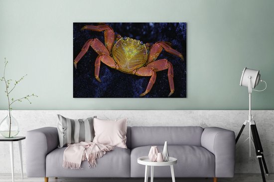 Canvas Schilderij Krab - Water - Dieren - 120x80 cm - Wanddecoratie
