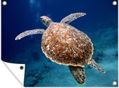 Tuinschilderij Een zwemmende schildpad onder water - 80x60 cm - Tuinposter - Tuindoek - Buitenposter