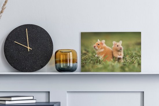 Tableau sur toile Hamsters dorés - 30x20 cm - Décoration murale