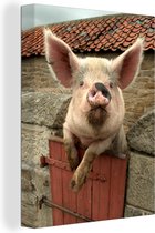 Toile Peinture Cochon - Rose - Animal - 60x80 cm - Décoration murale