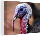 Tableau sur Toile Close-up Turquie - 40x30 cm - Décoration murale