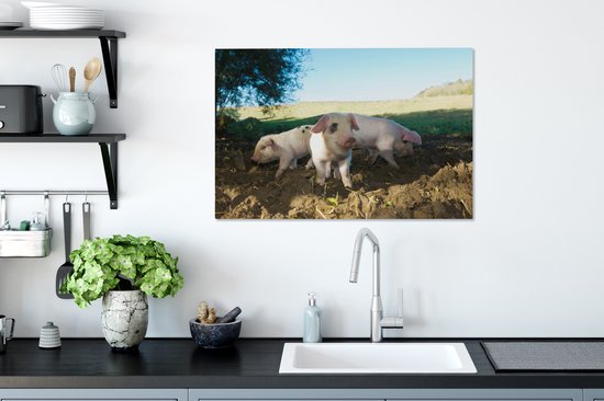 Toile Peinture Cochons - Animaux - Paysage - 60x40 cm - Décoration murale