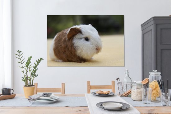 Peinture sur toile Jeune cochon d'Inde - 140x90 cm - Décoration murale