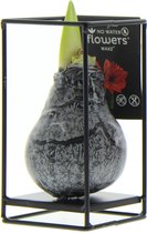 Amaryllis Bol in Wax - Bloembol ''No Water Flowers'' - Inclusief zwart standaard - zwarte wax - rode amaryllis bloem