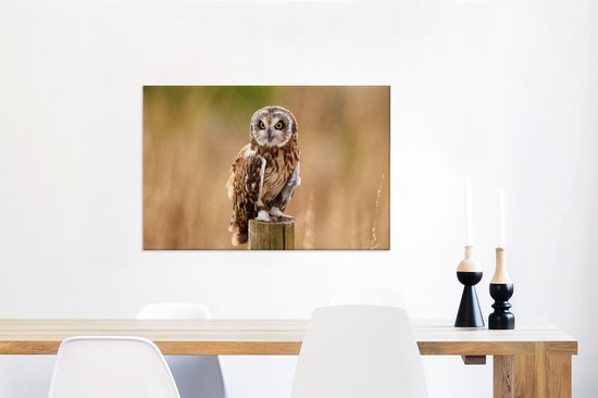 Tableau sur toile Gros plan d'un hibou des marais sur un poteau en bois - 90x60 cm - Décoration murale