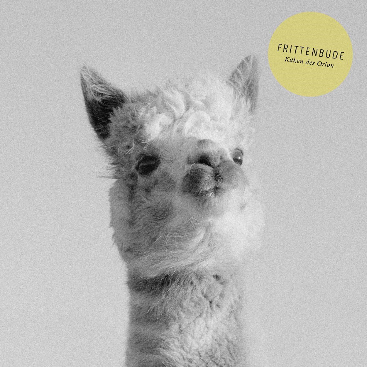 Frittenbude - Küken Des Orion (CD)