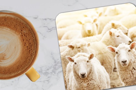 Dessous de Sous-verres - Mouton - Laine - Wit - 10x10 cm - 6 pièces