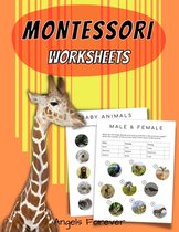 Montessori Worksheets