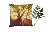Coussins Coussins décoratifs - Oreillers Salon - 60x60 cm - Arbre - Forêt - Soleil