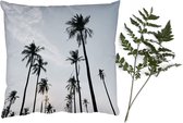 Coussins Coussins décoratifs - Oreillers Salon - 60x60 cm - Palmiers - Été - Tropical