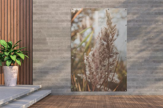 Affiche jardin - Pampa - Herbe de la pampa plante de jardin - Plante - Nature - Rose - 120x180 cm - Affiche clôture - Jardin - Décoration murale - Décoration Décoration de jardin - Toile jardin - Affiche extérieur