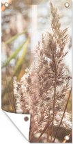 Tuinposter - Pampas - Pampasgras tuinplant - Plant - Natuur - Roze - 100x200 cm - Schuttingposter - Tuin - Wanddecoratie - Tuindecoratie - Tuindoek - Buitenposter