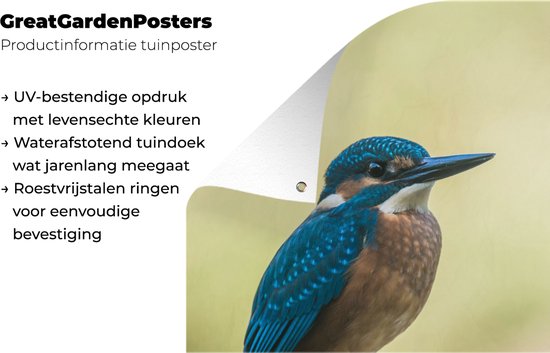 Affiche de Jardin Martin-pêcheur - Branche - Vogel - 200x200 cm - Toile de jardin