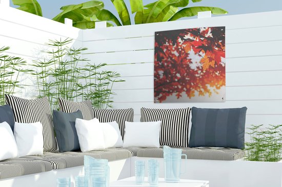 Affiche de jardin - Automne - Feuilles - Oranje - Branche - 50x50 cm - Peinture de jardin - Toile de clôture - Toile de jardin