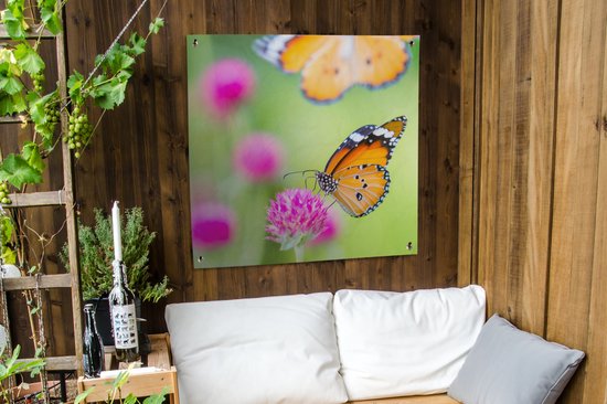 Vlinder - Tuinposters kopen? | Korting tot 19