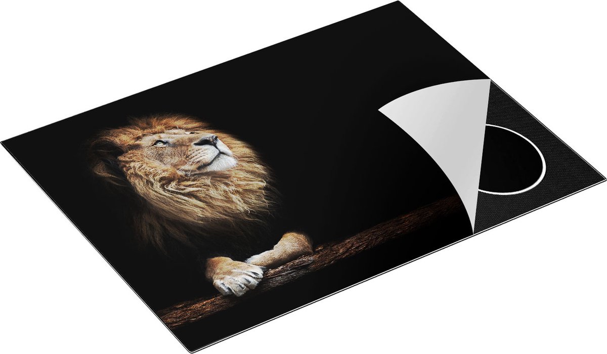 Chefcare Inductie Beschermer Leeuw in het Donker op een Boomstronk - 71x52 cm - Afdekplaat Inductie - Kookplaat Beschermer - Inductie Mat