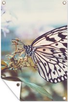 Affiche de jardin - Papillons - Fleurs - Plantes - Nature - Affiches d'extérieur - Posters de jardin cm - Toile de jardin