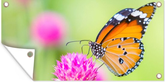 Tuinposter - Vlinders - Dieren - Bloemen - Planten - Tuinposter vlinder - 80x40 cm - Tuindoek