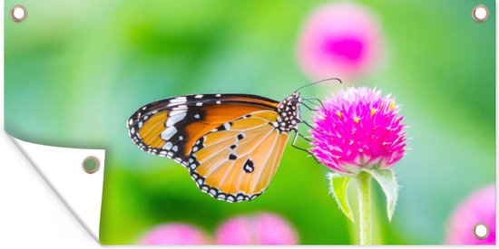 Affiche jardin - Papillon - Insectes - Fleurs - Fauna - Décoration de jardin - 60x30 cm - Toile jardin