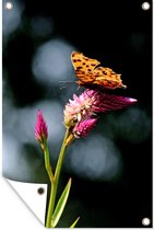 Tuinposter - Planten - Vlinder - Roze - Bloemen - Tuindoek - 40x60 cm - Tuinposters buiten