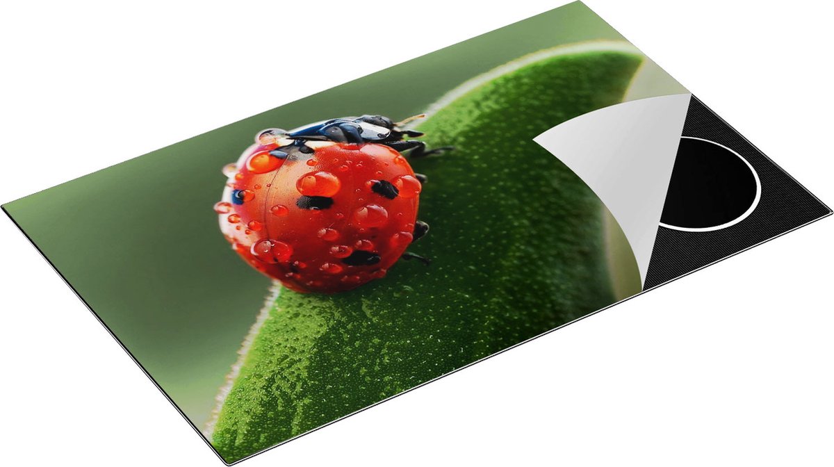 Chefcare Inductie Beschermer Lieveheersbeestje op een Blad met Waterdruppels - 85x55 cm - Afdekplaat Inductie - Kookplaat Beschermer - Inductie Mat