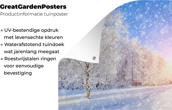 Tableau jardin neige - Soleil - Toile jardin - Poster jardin - Hiver - Décoration de jardin - Neige - Nature - 60x40 cm