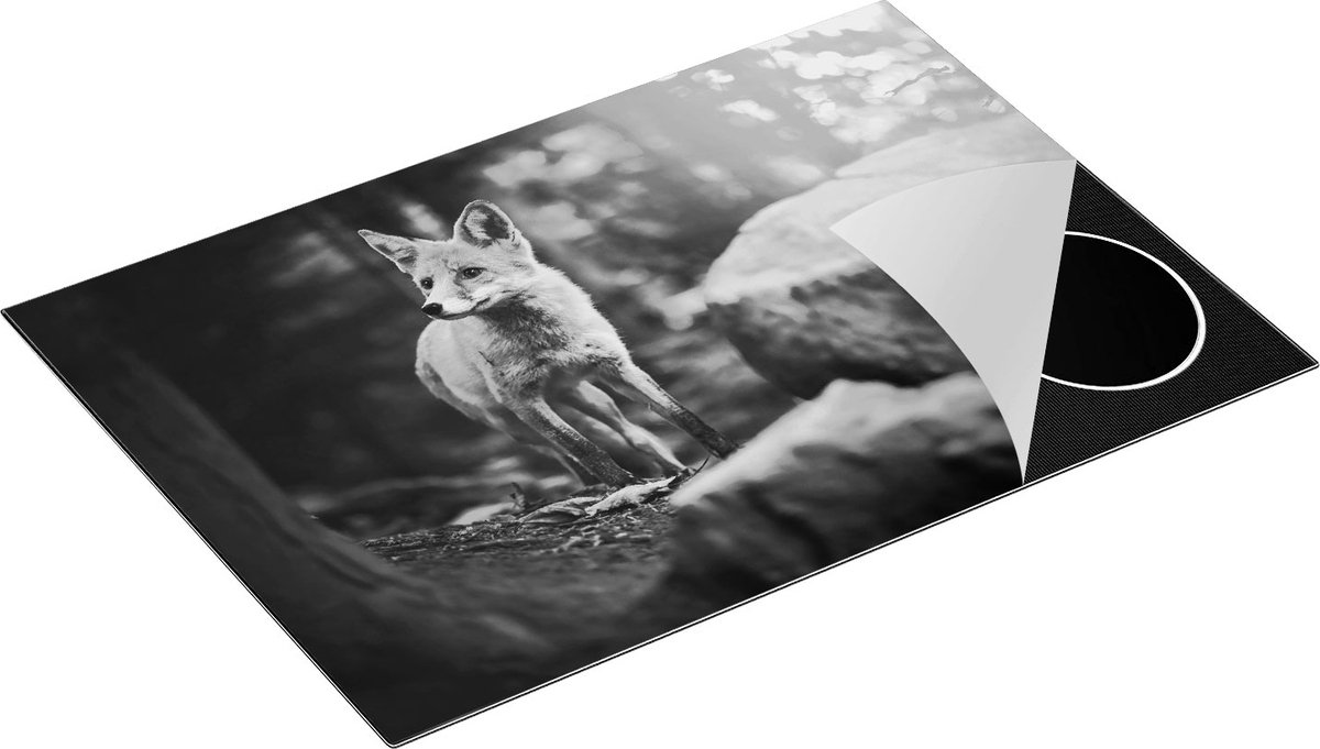 Chefcare Inductie Beschermer Vos in het Bos bij Stenen - Zwart Wit - 76x51,5 cm - Afdekplaat Inductie - Kookplaat Beschermer - Inductie Mat