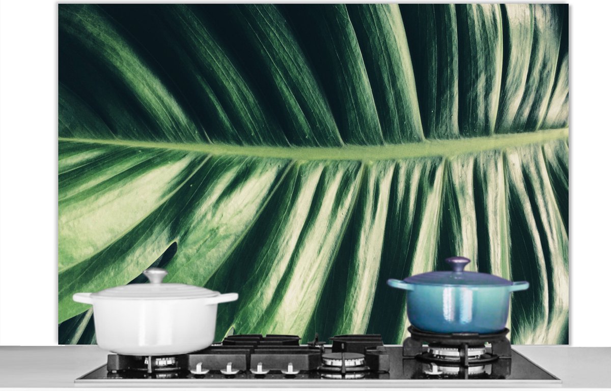 Spatscherm - Bladeren - Jungle - Tropical - Design - Natuur - Spatwand - 120x80 cm - Achterwand