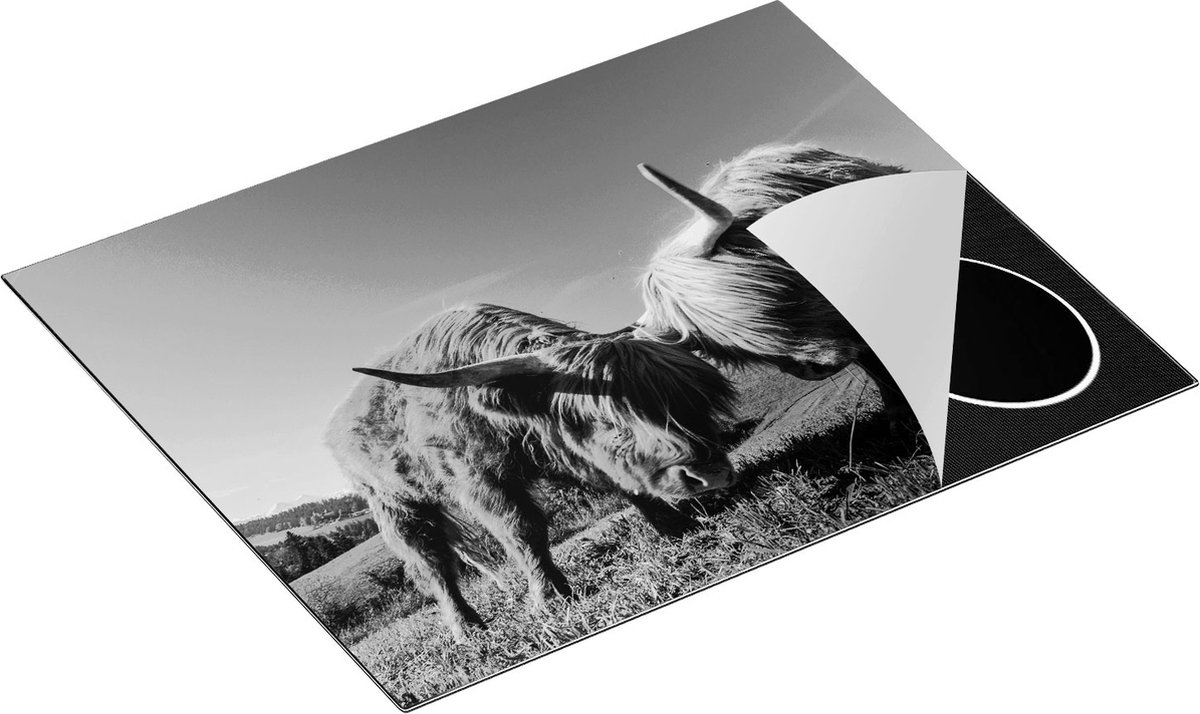 Chefcare Inductie Beschermer Twee Schotse Hooglanders op een Heuvel - Zwart Wit - 65x52 cm - Afdekplaat Inductie - Kookplaat Beschermer - Inductie Mat
