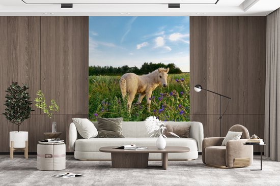Poulain dans les hautes herbes 160x220 cm