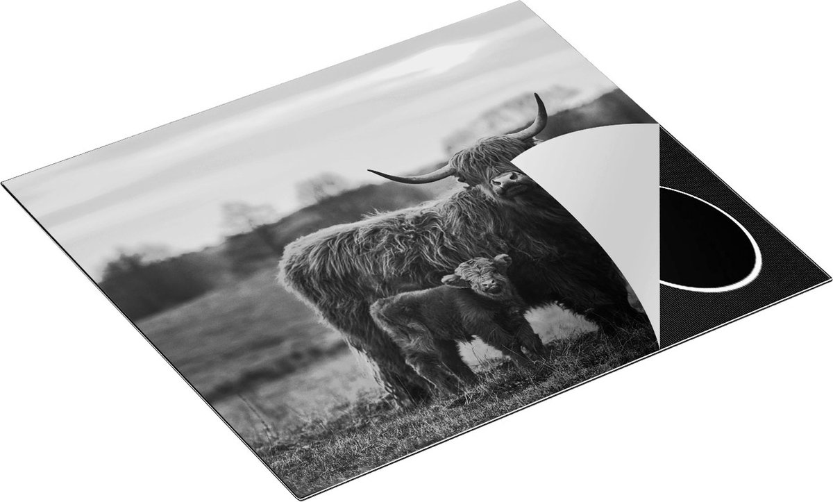 Chefcare Inductie Beschermer Schotse Hooglander Koe met haar Kalf - Zwart Wit - 60x52 cm - Afdekplaat Inductie - Kookplaat Beschermer - Inductie Mat