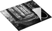 Chefcare Inductie Beschermer Voetpad in het Bos - Zwart Wit - 59x51 cm - Afdekplaat Inductie - Kookplaat Beschermer - Inductie Mat