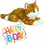Pluche knuffel kat/poes rood van 30 cm met A5-size Happy Birthday wenskaart - Verjaardag cadeau setje